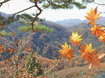 卖正品米非司酮片微信再鼎医药：授出购股权、受限制股份单位及业绩股份单位