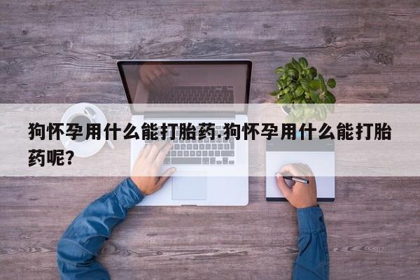卖正品米非司酮片微信狗怀孕用什么能打胎药.狗怀孕用什么能打胎药呢？