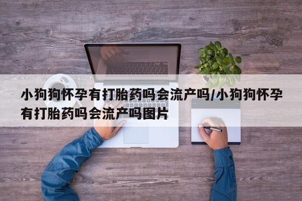 卖正品米非司酮片微信小狗狗怀孕有打胎药吗会流产吗/小狗狗怀孕有打胎药吗会流产吗图片