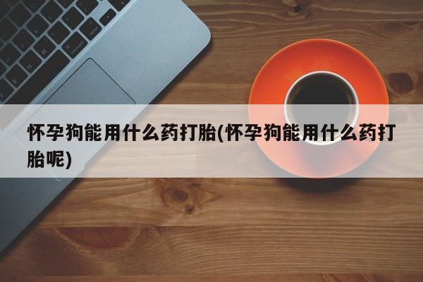 卖正品米非司酮片微信怀孕狗能用什么药打胎(怀孕狗能用什么药打胎呢)